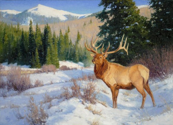 Зелёный ельник у дороги Бунин