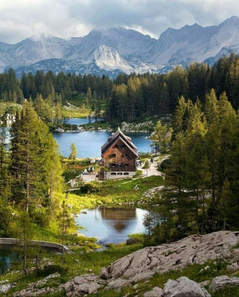 Лес горы штат Монтана домик у озера