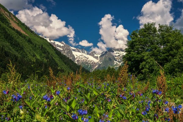 Домбайская Поляна Карачаево-Черкесия