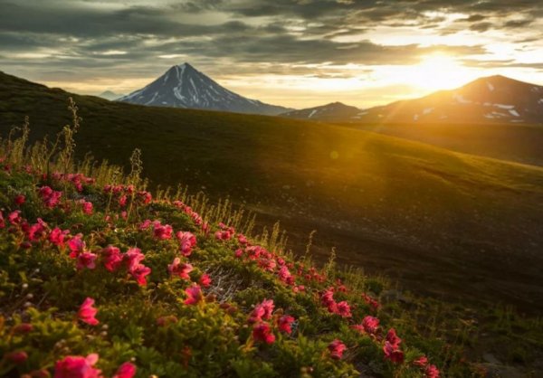 Петропавловск-Камчатский природа