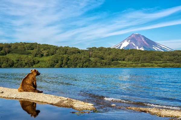 Заповедники Камчатки