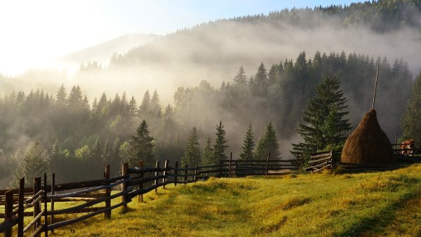 Карпаты природа деревня