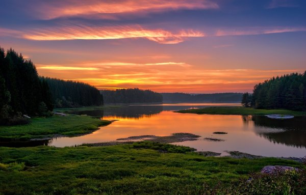 Пейзаж пруд