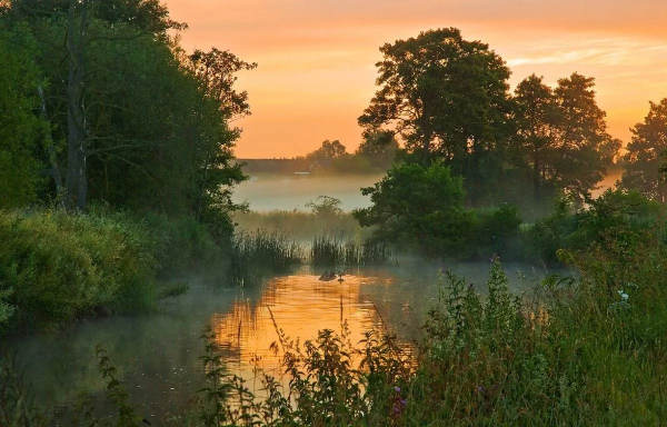 Река Локша Ивановская область