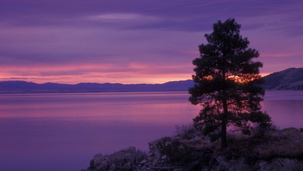 Пейзаж в фиолетовых тонах