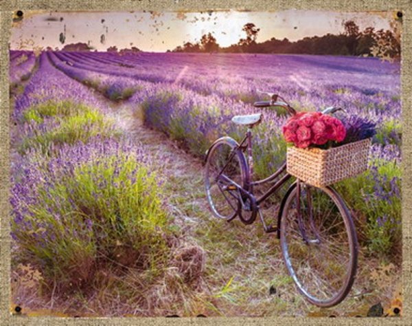 Лавандовые поля Прованса Париж