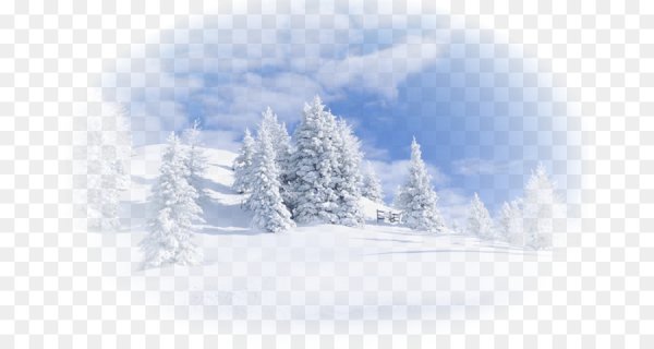 Зимний пейзаж на прозрачном фоне