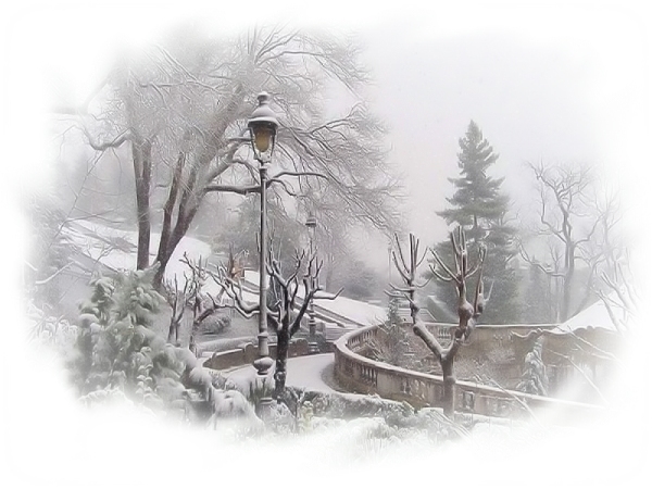 В новогоднем лесу