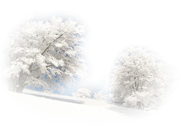 Новогодние пейзажи на прозрачном фоне