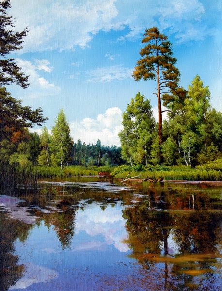 Художник Владимир Княгницкий