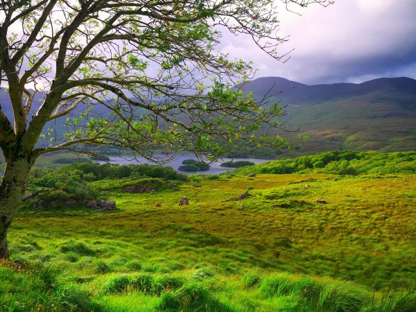 Ирландия ландшафт
