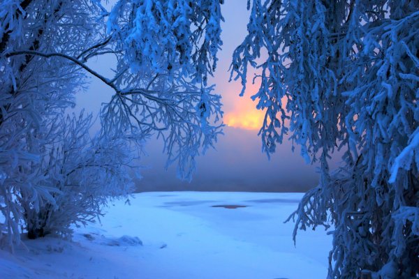 Сказочная зима