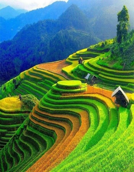 Рисовые террасы в филиппинских Кордильерах