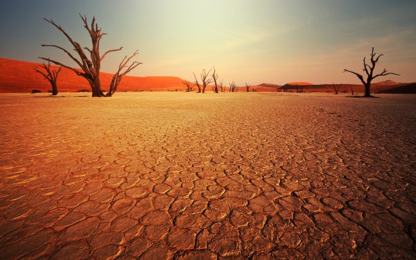 Пустыня пейзаж