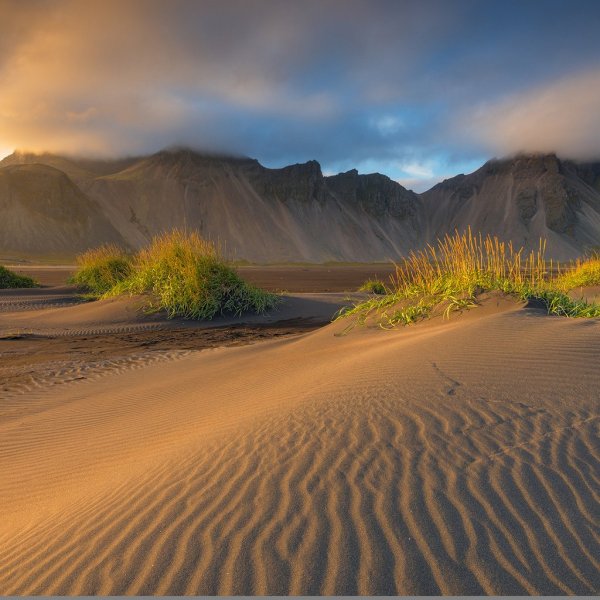 Пустыня пейзаж