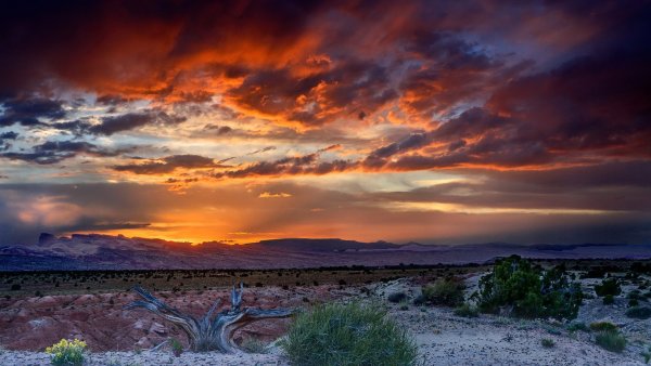 Пустыня Аризона рассвет