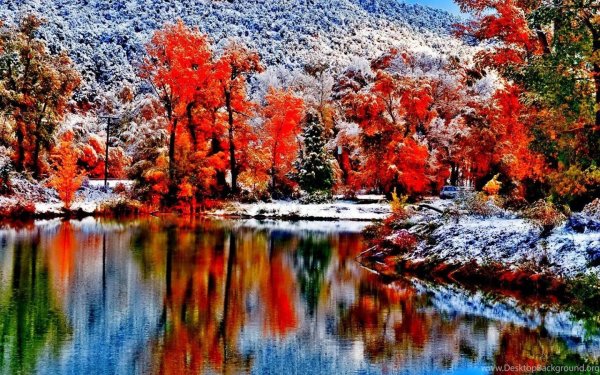 Красивая осень и зима