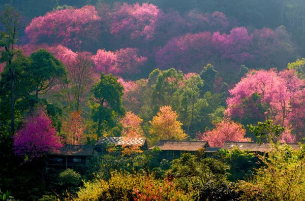 Киото Фудзияма