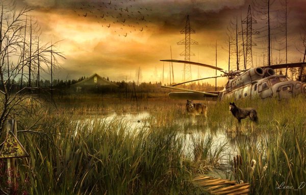 Stalker пейзажи