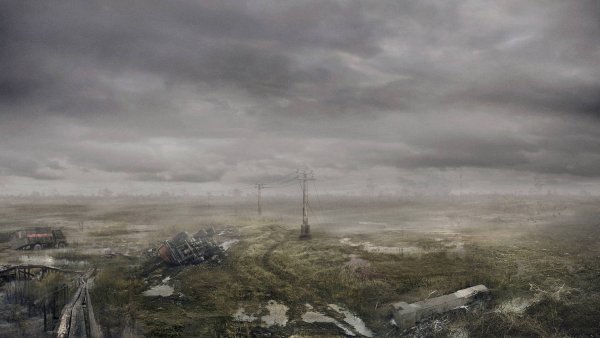 Сталкер 2 поле