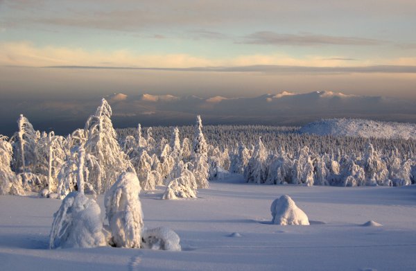 Гора Ослянка Пермский край зимой
