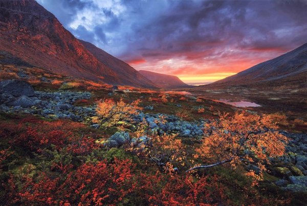 Кольский полуостров Хибины тундры