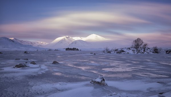 Арктическая тундра Аляска