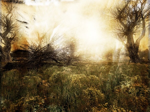 Сталкер зона арт