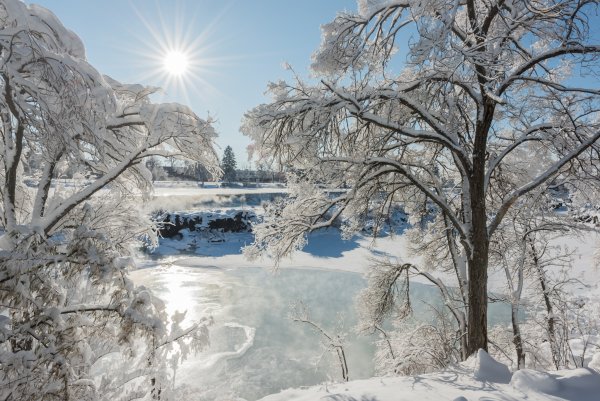 Зимний день
