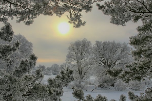 Морозный зимний день
