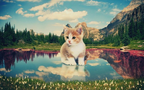 Красивые пейзажи природы и животных