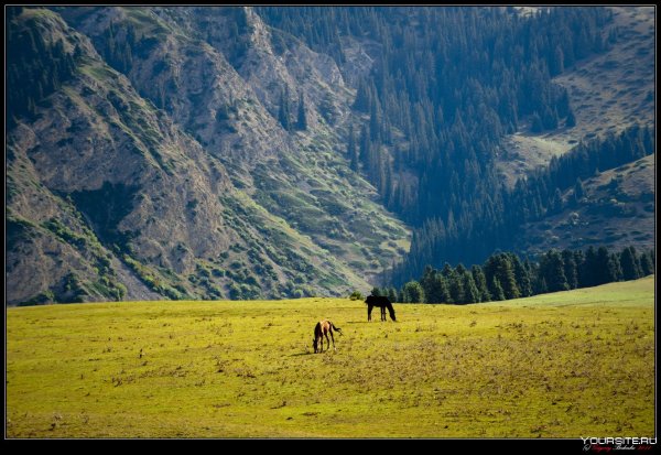 Горные ущелья Тарбагатай