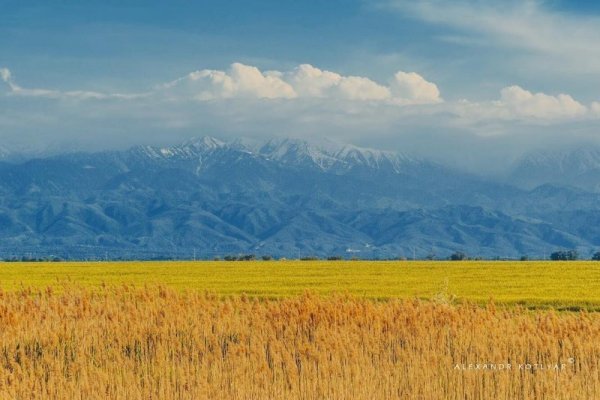 Просторы Казахстана