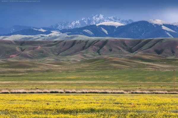 Казахская степь Караганда