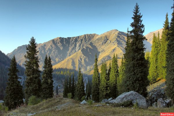Алма Ата Заилийский Алатау