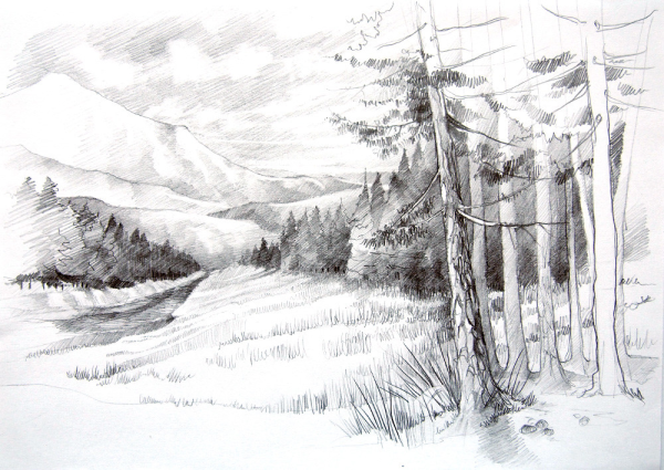 Пейзаж в графике легкий