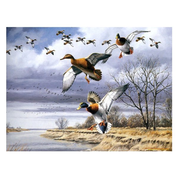 Утки над озером живопись