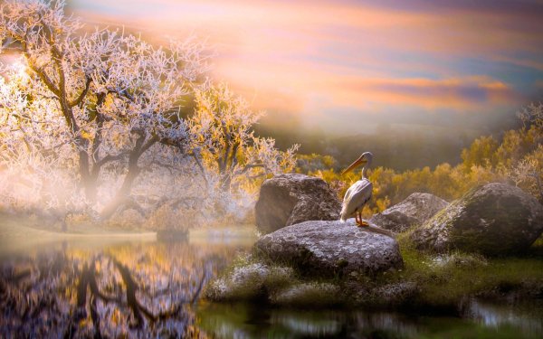 Красивый пейзаж с птицами