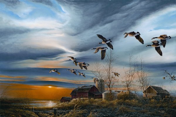 Терри Редлин закат озеро