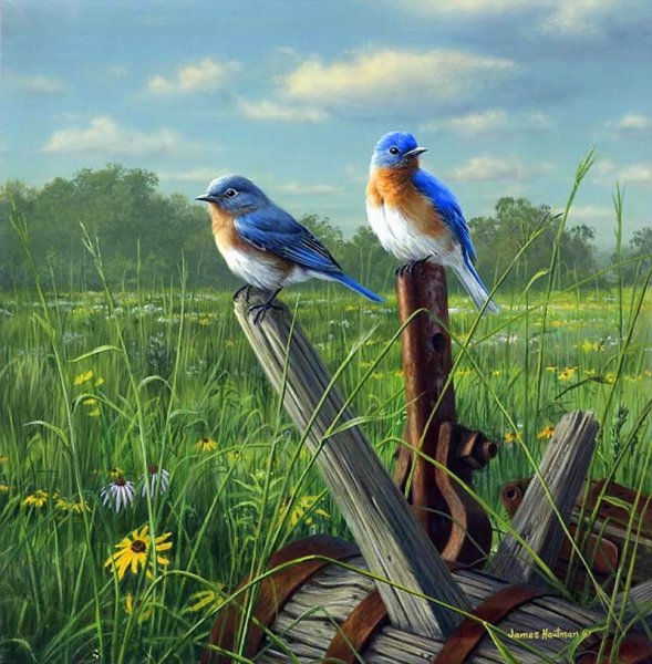 Джеймс Хаутман (James Hautman