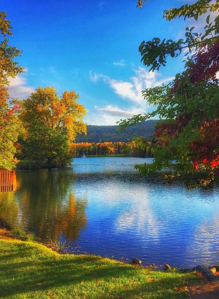 Лесистые Карпаты