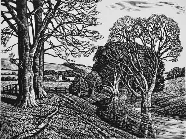 Гравюра, линогравюра, Ксилография, офорт,эстамп