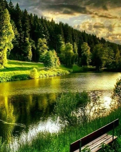 Красивая природа