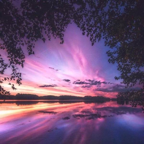 Розовый закат