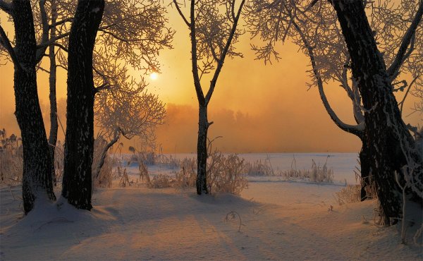 Декабрь природа