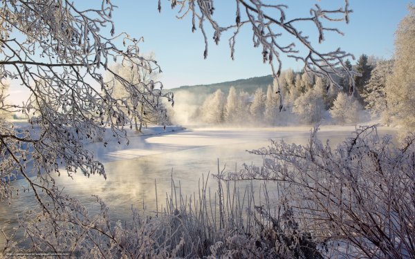 Зимний Солнечный пейзаж