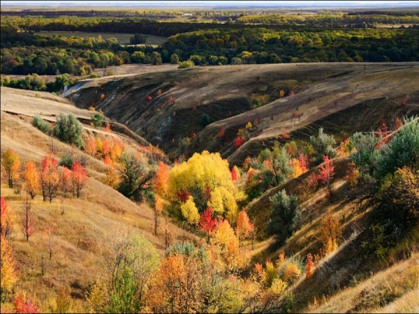 Подкова реки Дон Кривоборье