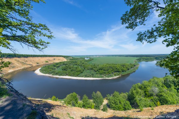 Лесостепь Воронежской области