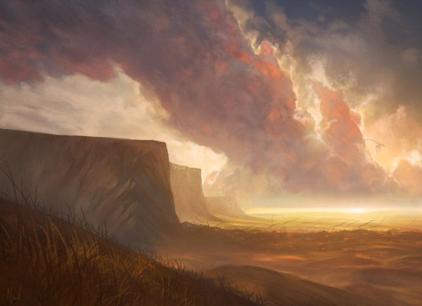 Noah Bradley