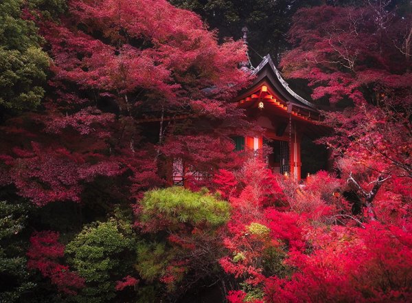 Киото гора Фудзияма